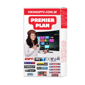 viking iptv 2 years subscription