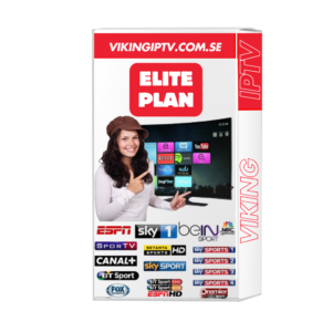 viking iptv 12 months subscription